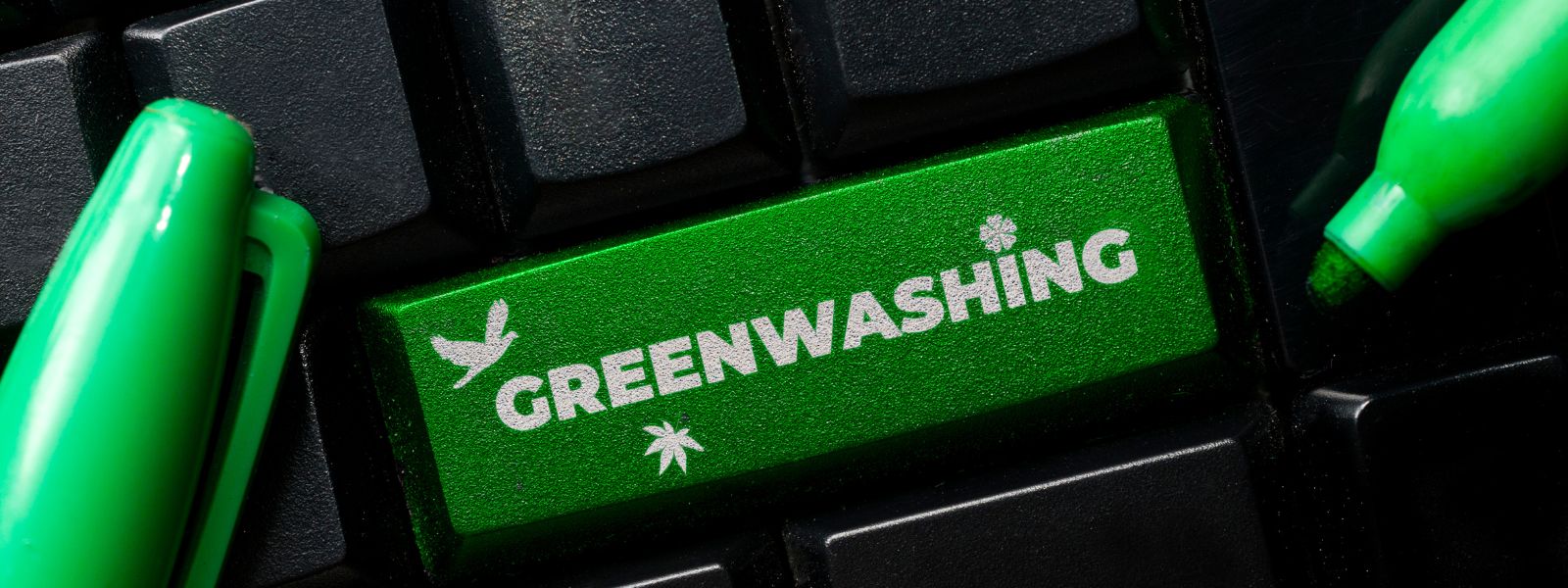 Pratiche ESG, le conseguenze delle dichiarazioni non veritiere