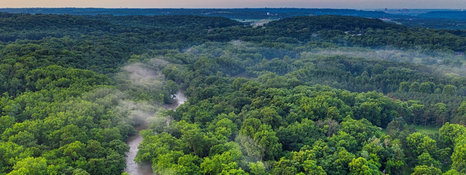 Prodotti “a deforestazione zero”: i nuovi obblighi a carico delle imprese