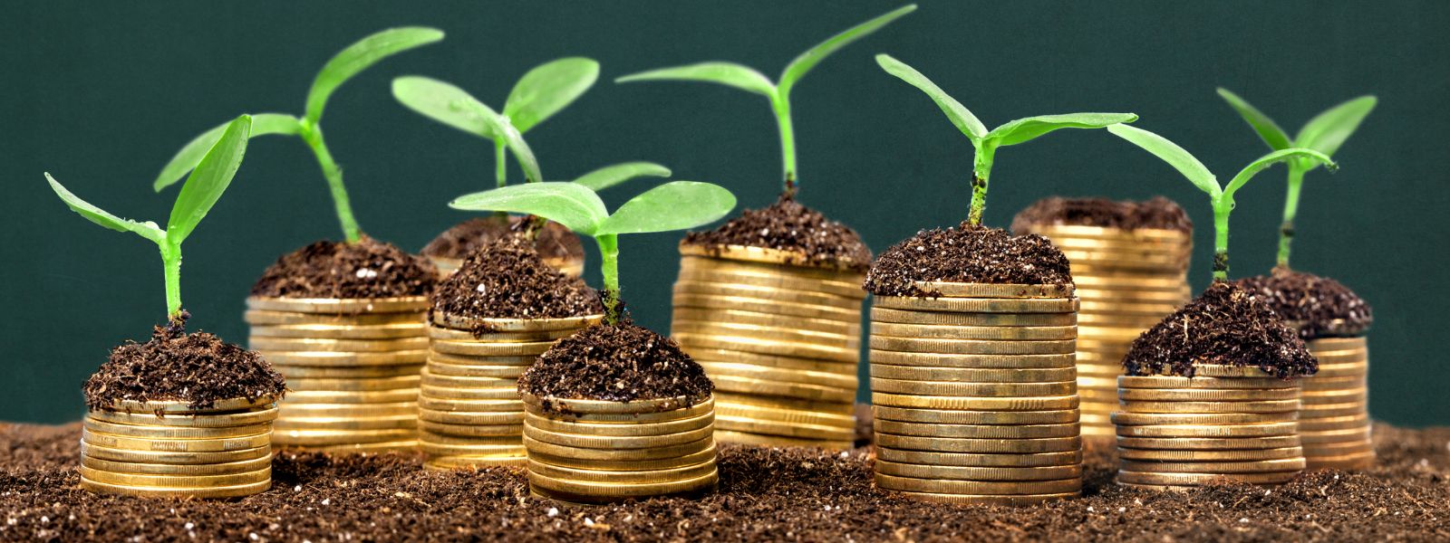 «Favorire gli investimenti, ma va mantenuta la neutralità tecnologica»