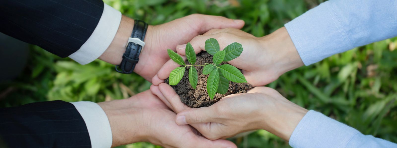 Fiscalità e ambiente