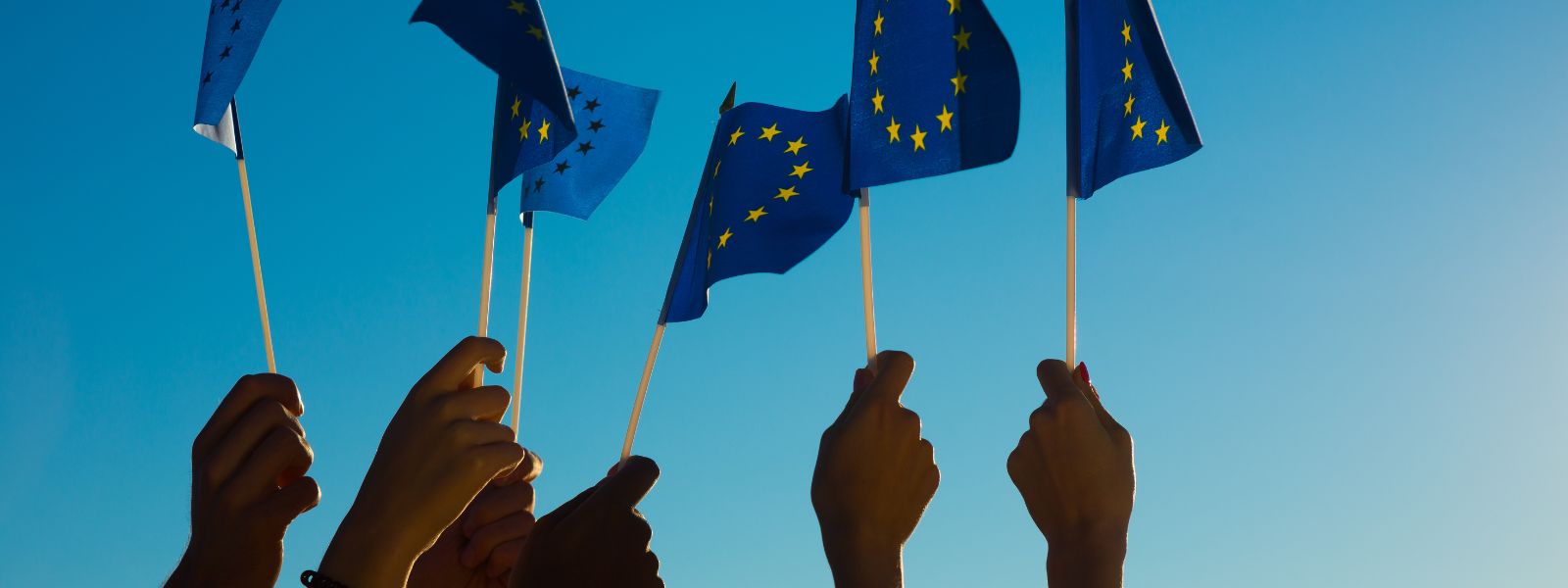 Elezioni europee: qual è il futuro della circolarità?
