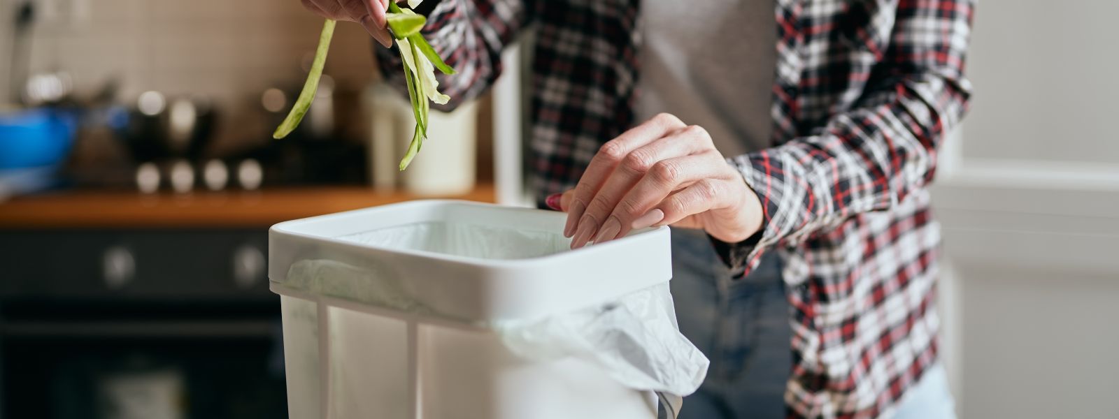 Comuni e Province non possono vietare i sacchetti compostabili e biodegradabili
