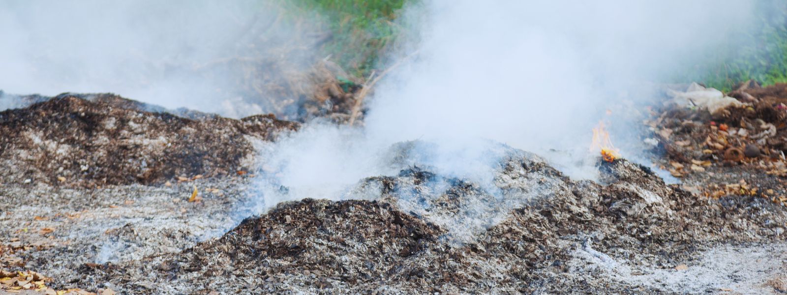 Ecoguard, antidoto alle terre dei fuochi nazionali ed estere