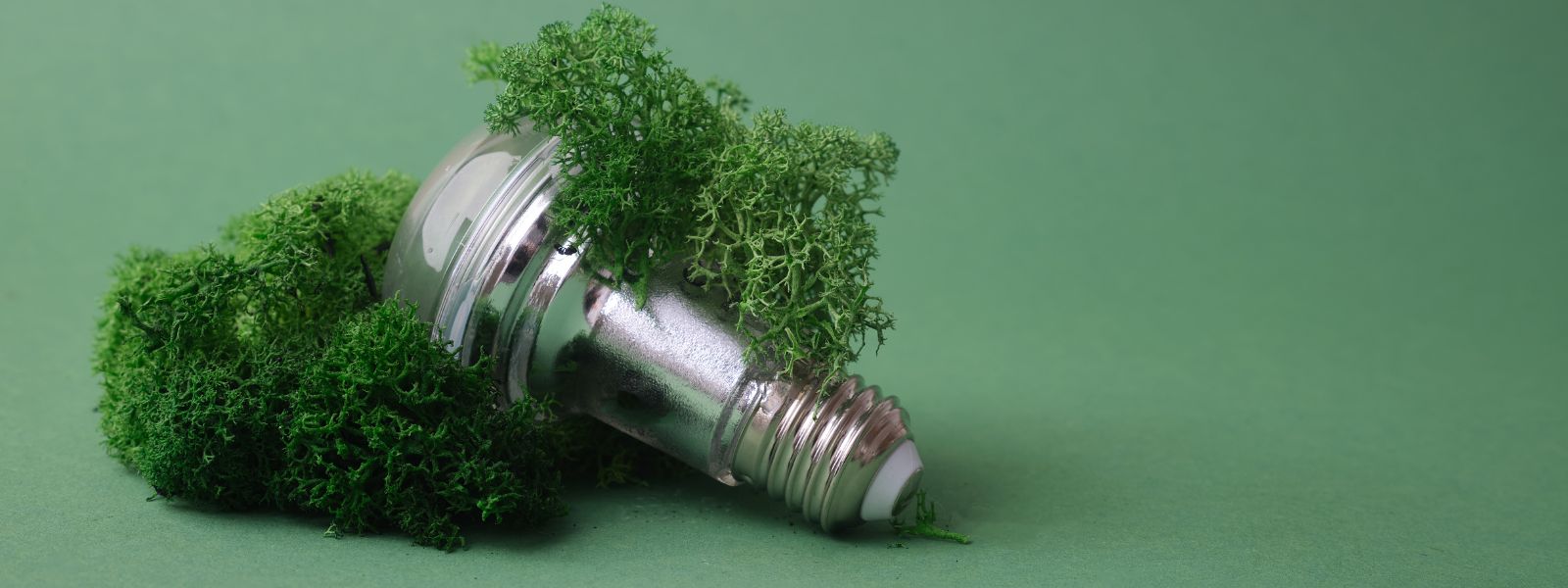 Greenwashing, il quadro sanzionatorio e le interrelazioni con le fattispecie di rilevanza penale