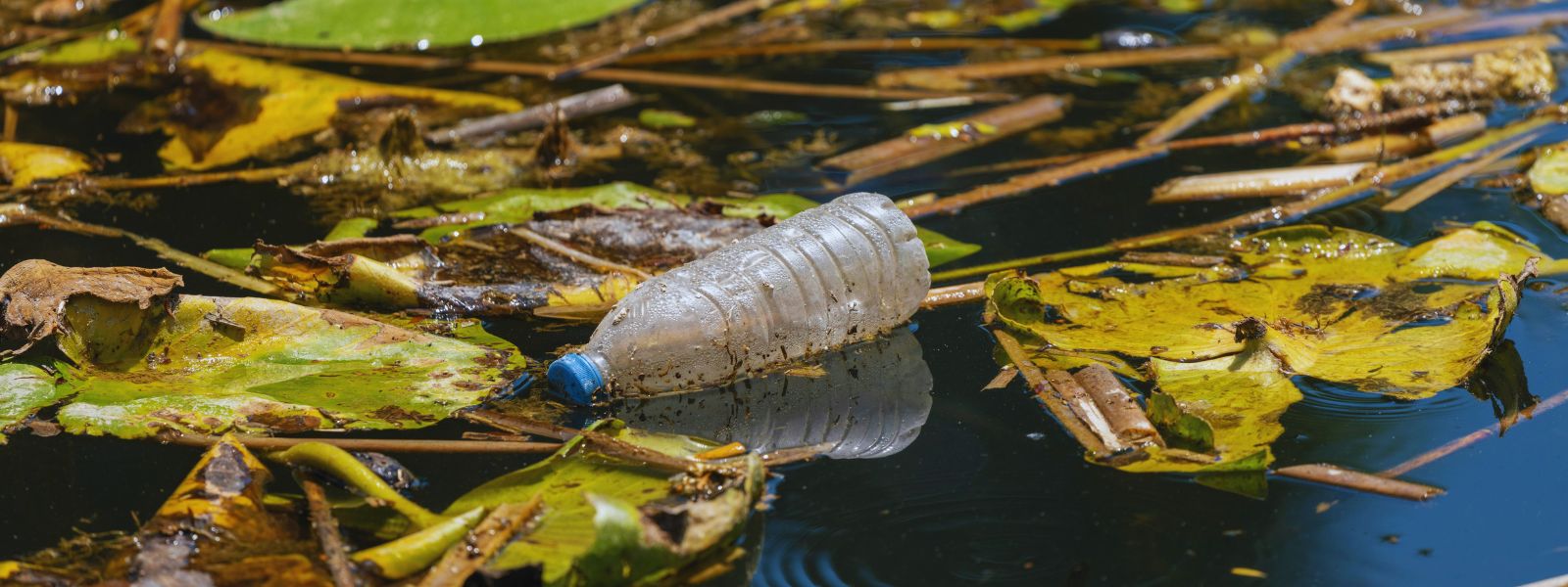 Legambiente: l’80% dei rifiuti in parchi e spiagge è di plastica