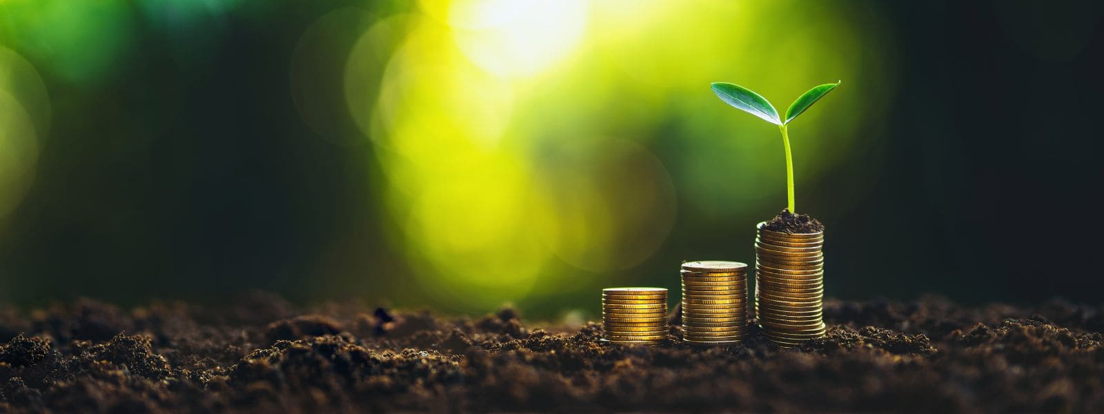 Il dilemma della scalabilità